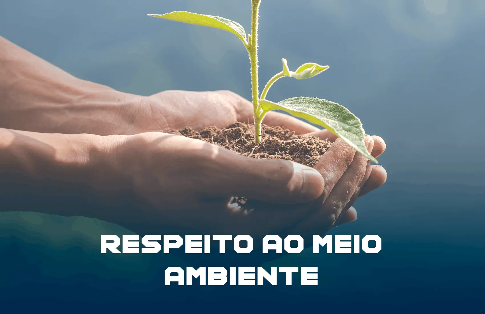 Serviços